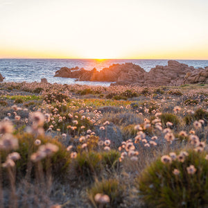 Mediterranean Coast