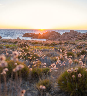 Sardegna