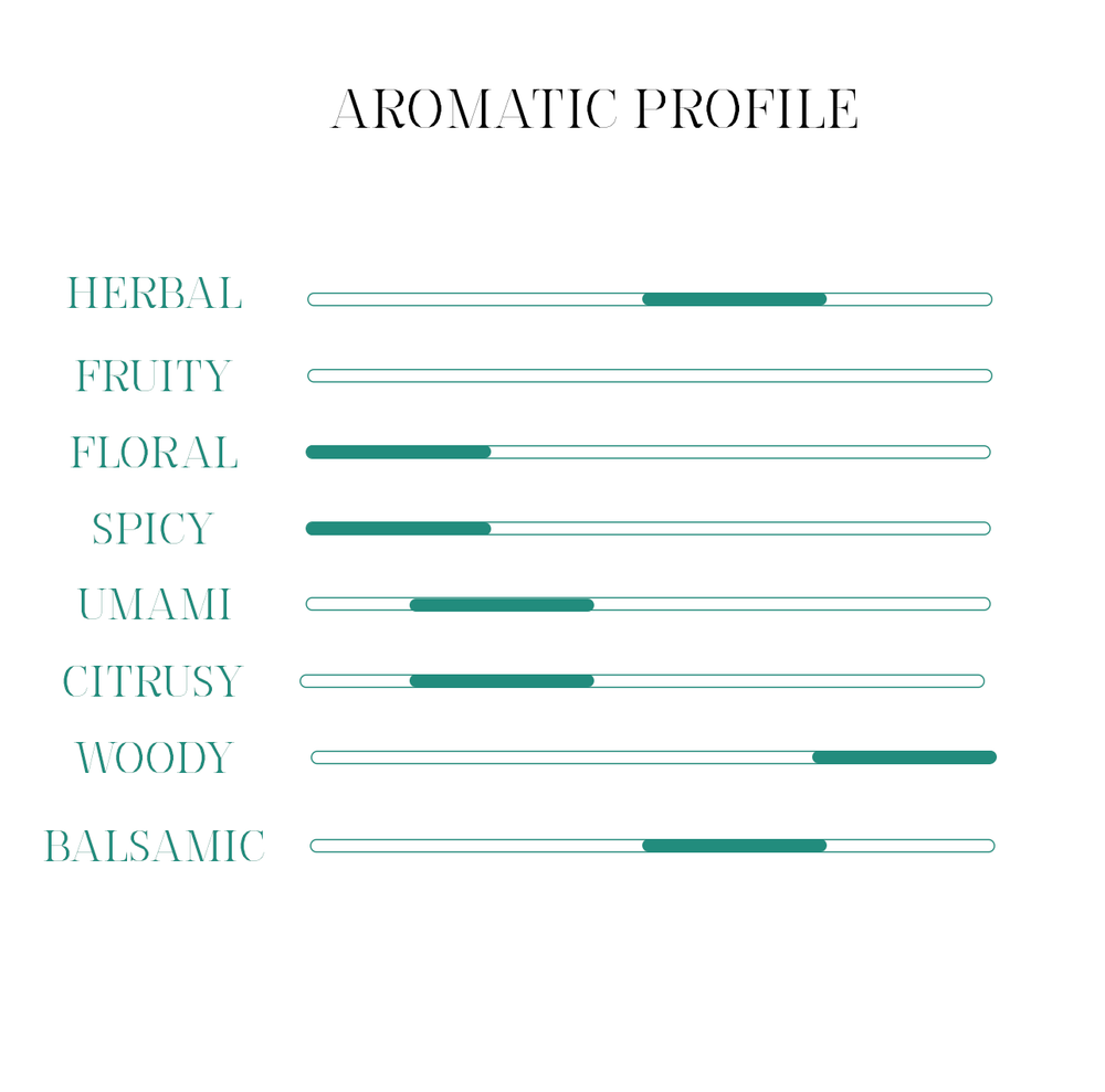 Soda Alpine Forest profilo aromatico 
