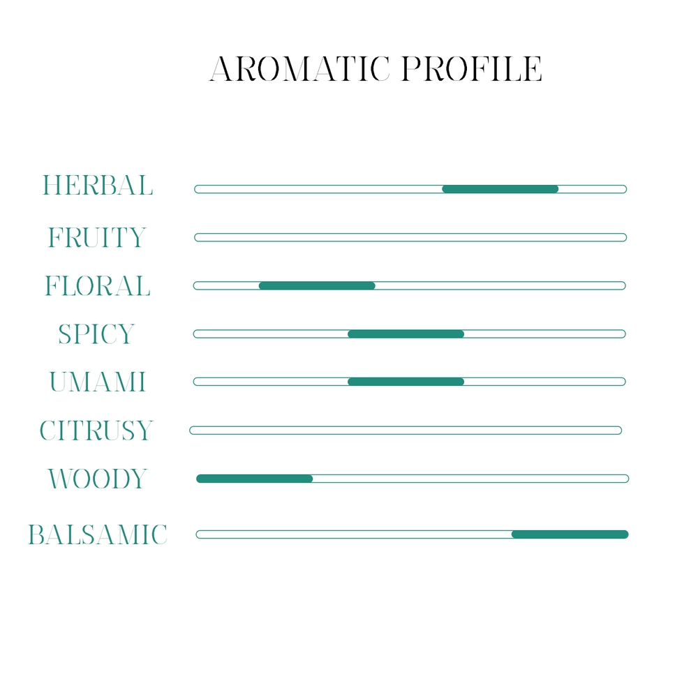 Profilo aromatico Gin Apulia