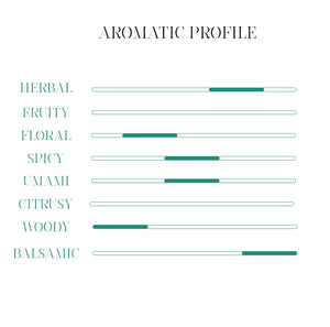 aromatic profile gin apulia
