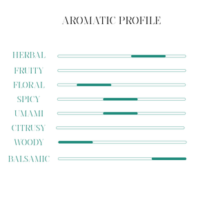 Profilo aromatico Gin Apulia