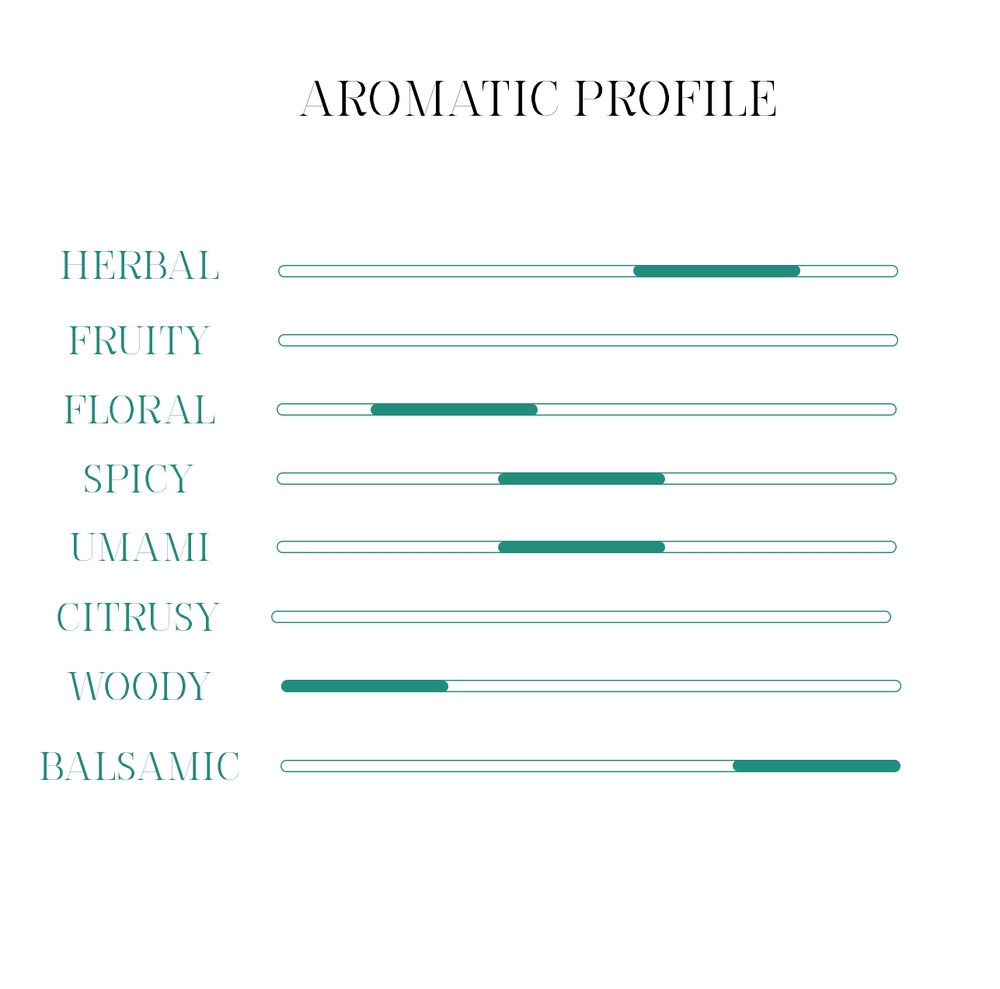 Profilo aromatico distillato Selvatiq Gin Apulia