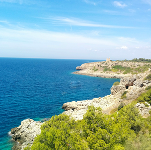 Gin Apulia realizzato con botaniche raccolte a mano in Puglia