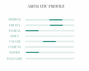 Profilo aromatico Soda acqua tonica Mediterranean Coast