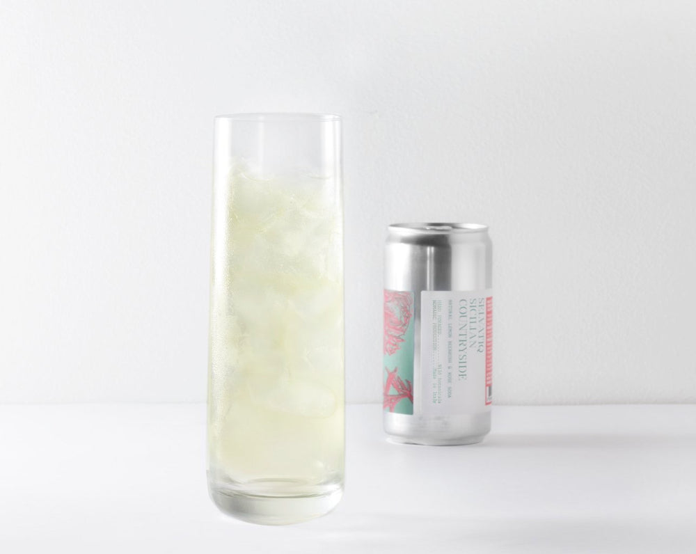 Assapora l’acqua tonica o soda analcolica fatta a mano in Italia