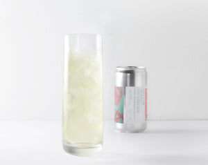 Assapora l’acqua tonica o soda analcolica fatta a mano in Italia