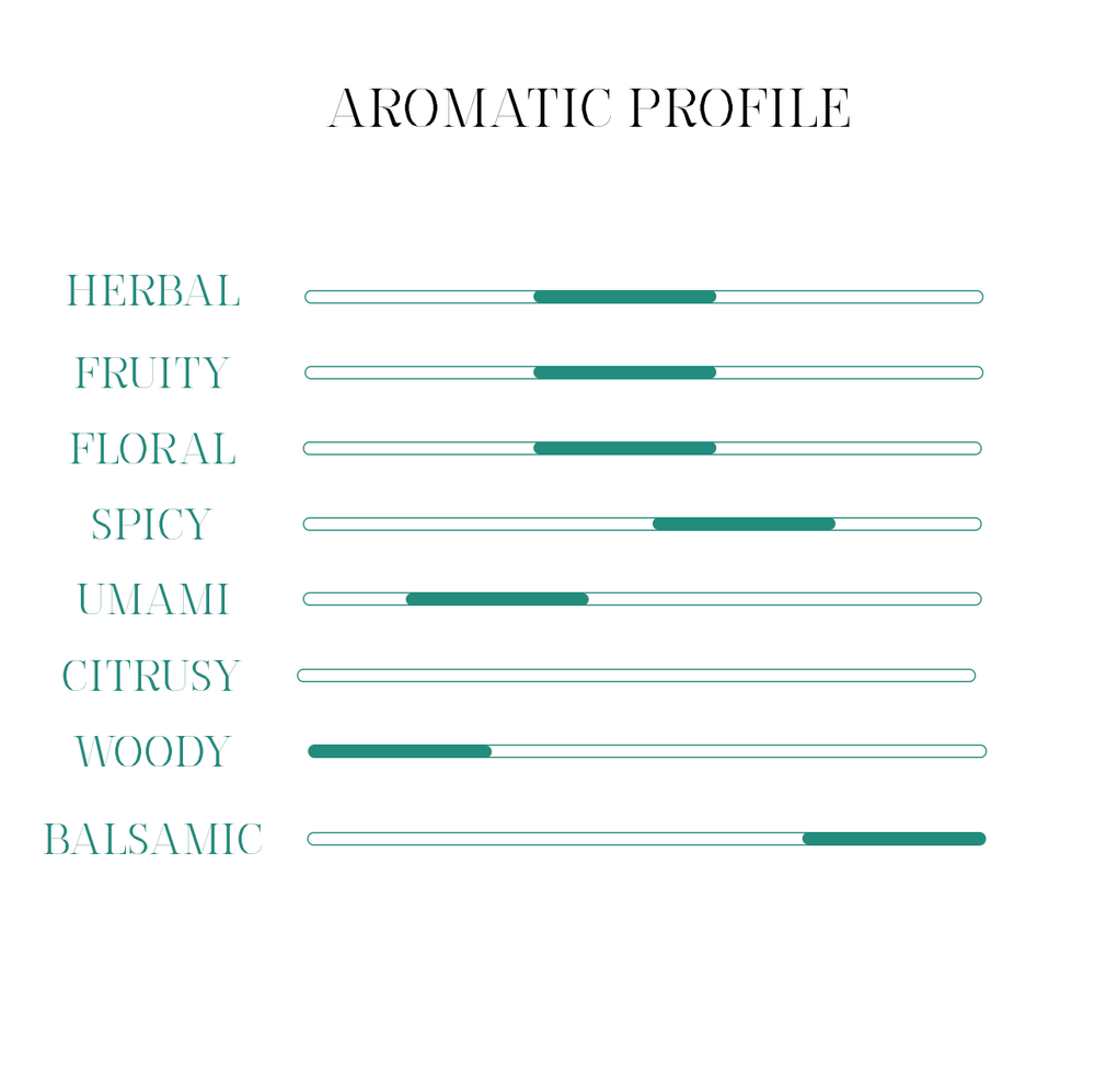 Vermouth Selvatiq realizzato con botaniche selvatiche raccolte a mano profilo aromatico 