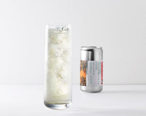 Gusta la nostra soda di foglie di fico italiana artigianale e sostenibile